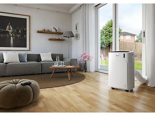 De'Longhi Pinguino PAC EM90 Silent
